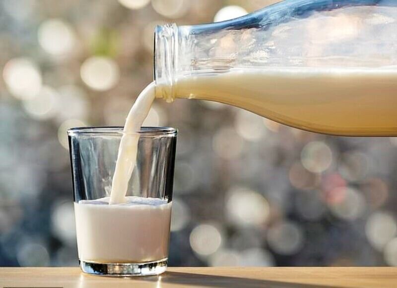 شیر غیرپاستوریزه را چگونه مصرف کنیم تا تب مالت نگیریم 2