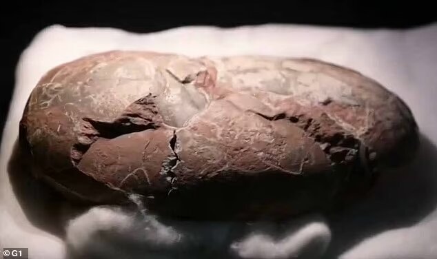 کشف شگفت‌انگیز لانه ۶۰ میلیون ساله با تخم‌های دایناسور/ عکس
