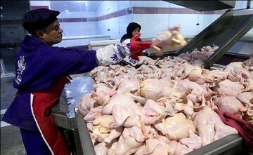 قدرت کارشناسی کیهان بالاخره علت افزایش قیمت مرغ را تشخیص داد / کوچه کناری رو گل بگیرن همه چیز حله