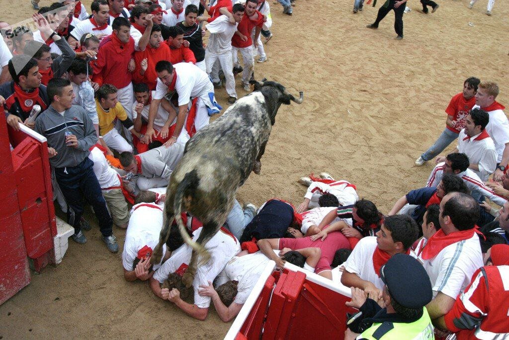 در مراسمی که منتقد زیادی دارد؛ گاو عصبانی بهحساب مردان سفید و قرمز پوش رسید/ عکس