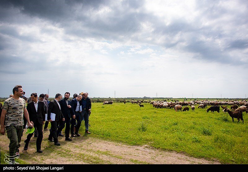 چرا متولیان پتروشیمی میانکاله از ارائه مجوز ارزیابی محیط زیستی امتناع میکنند؟