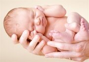 زمان برداشت سهام نوزادان در بورس اعلام شد/ جزییات