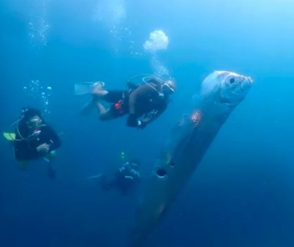 کشف موجودی عجیب و ترسناک با طول ۲ متر در اعماق دریا