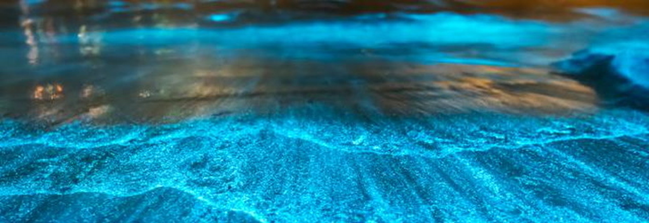 درخشش عجیب آب دریا خبرساز شد/ عکس