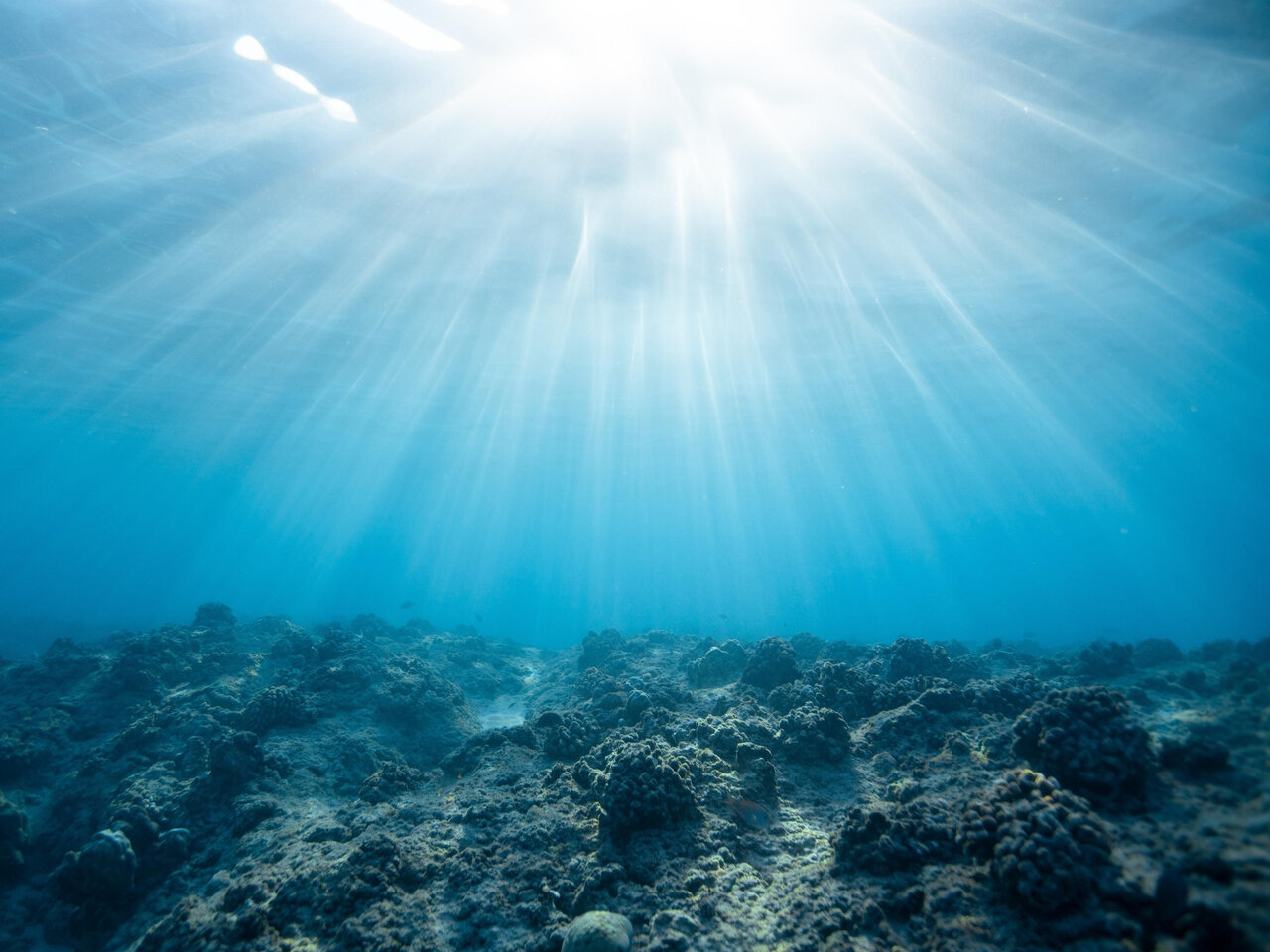 جا ماندن رد پای موجوداتفضایی در کف اقیانوس!/ عکس