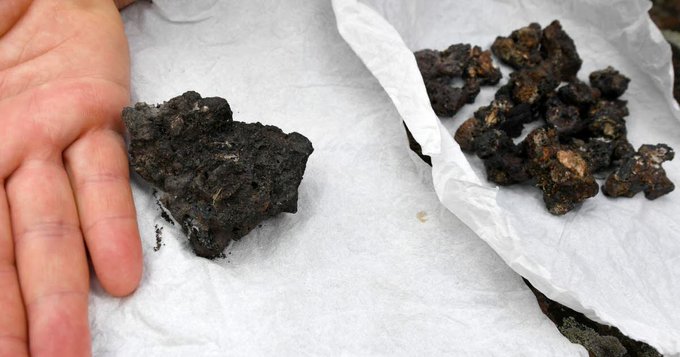 سنگ فضایی یا زمینی؛ چه چیزی به این زن برخورد کرد؟