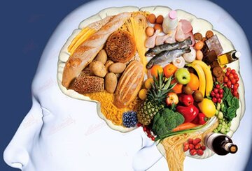 دوپینگ حافظه با این ۱۰ ماده غذایی دوپینگ حافظه با این ۱۰ ماده غذایی