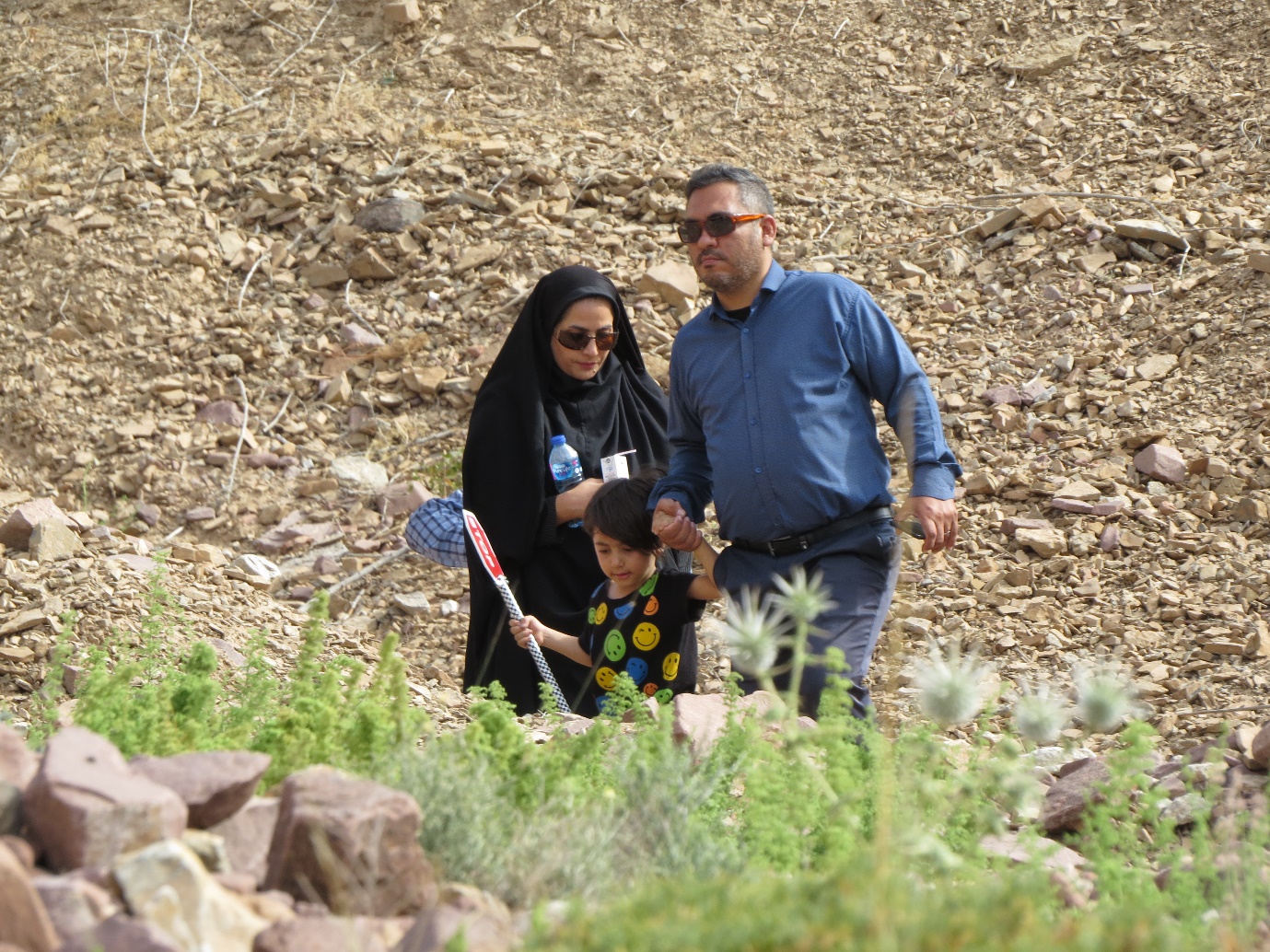 احیاء ۱۰ هکتار از جنگل های مخروبه و رویشگاه طبیعی درختان ارس درشهرستان مهدیشهر