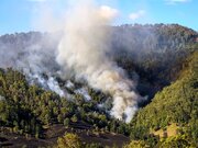 ببینید | جنگل‌های مریوان همچنان غرق در آتش و دود