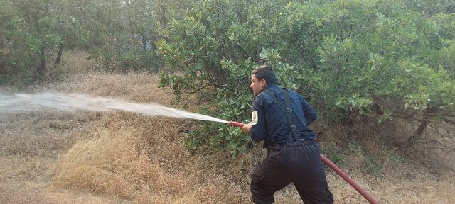 آتش‌سوزی جنگل‌های مریوان برای سومین روز متوالی/ عکس