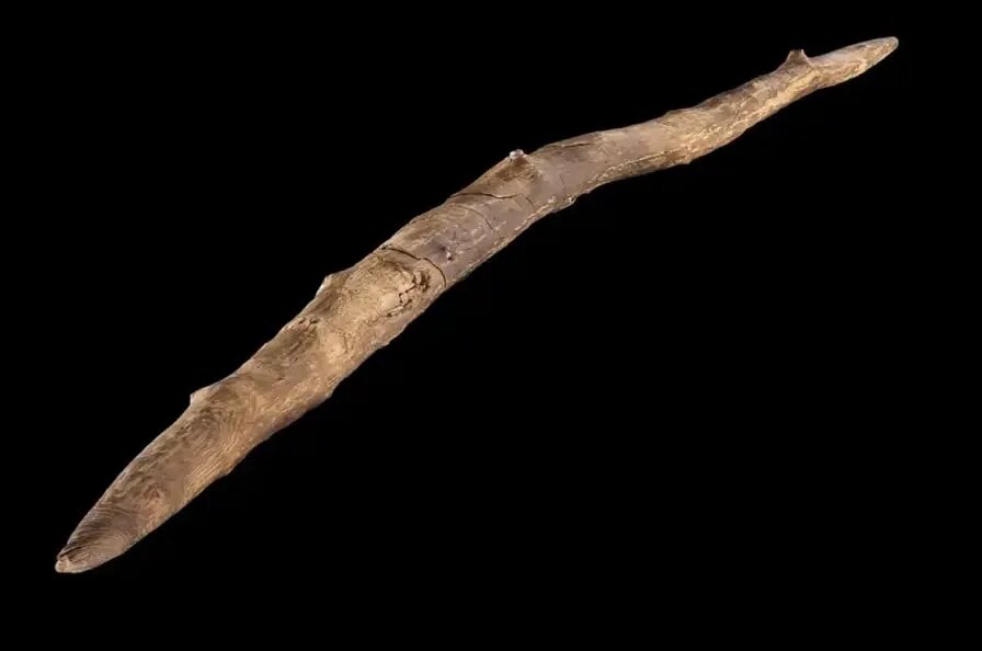 کشف یکی از قدیمی ترین سلاح های ساخته شده توسط انسان / عکس