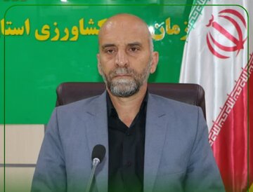 افزایش ۸۲ درصدی خرید گندم مازاد کشاورزان لرستانی