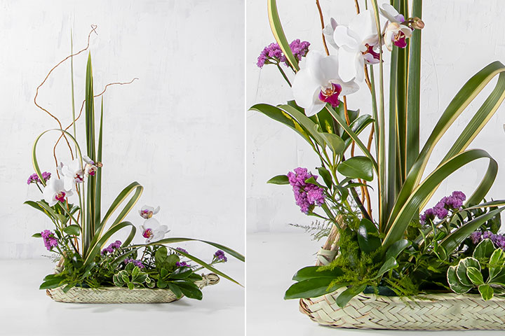 گل فروشی VIP Shop، فرصتی تابستانه برای علاقهمندان گل و گیاه ارائه کرد