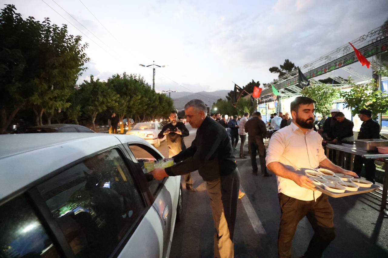 تصاویر| وقتی قهرمانان المپیک، جهان و آسیا خادم موکب امام حسین (ع) میشوند