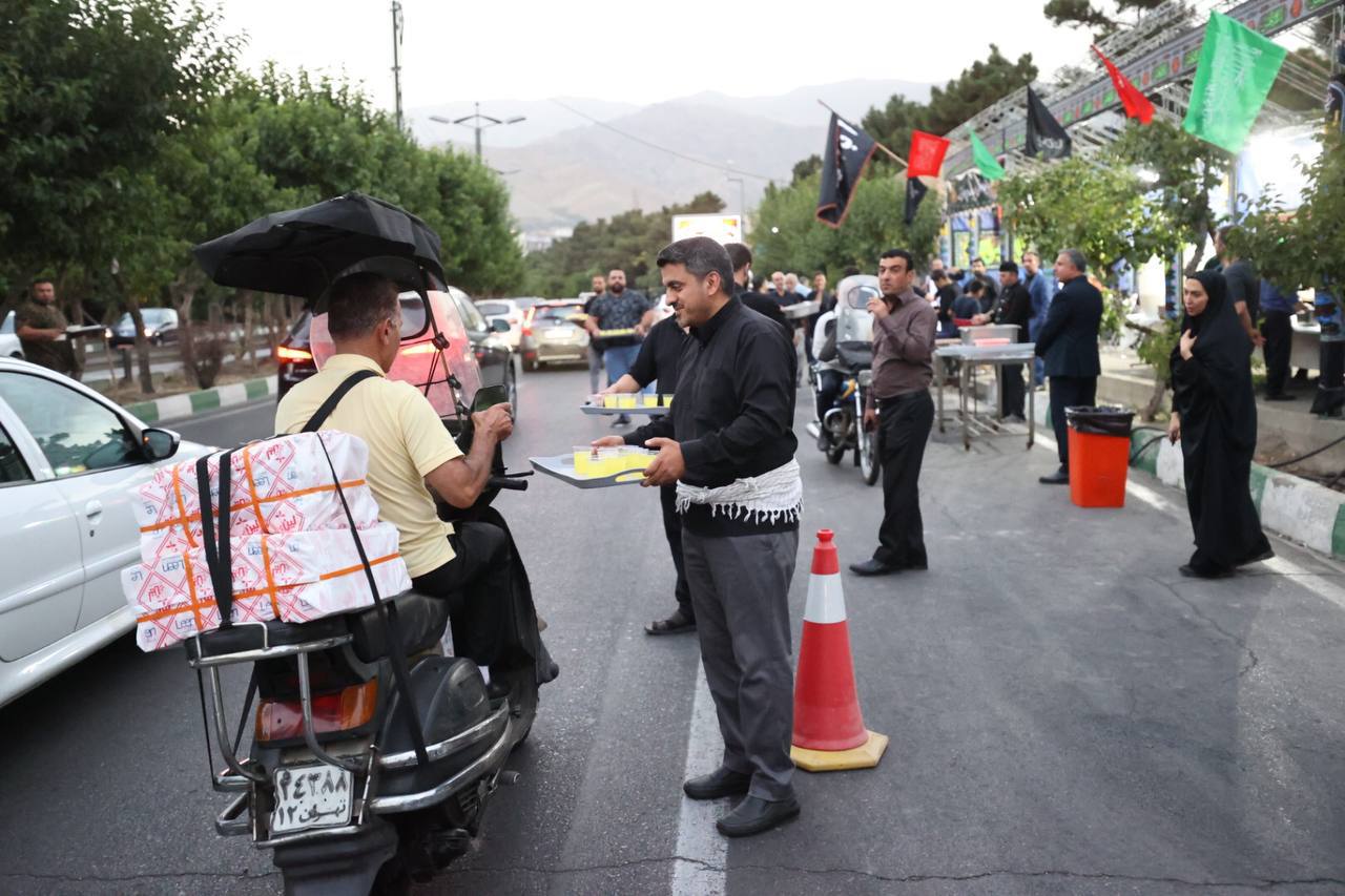 تصاویر| وقتی قهرمانان المپیک، جهان و آسیا خادم موکب امام حسین (ع) میشوند