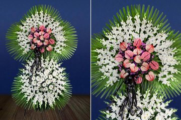 گل فروشی VIP Shop، فرصتی تابستانه برای علاقهمندان گل و گیاه ارائه کرد گل فروشی VIP Shop، فرصتی تابستانه برای علاقهمندان گل و گیاه ارائه کرد