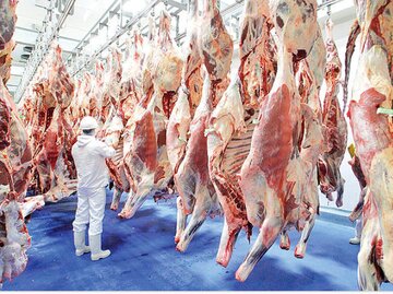 اعلام آخرین قیمت گوشت / شقه گوسفندی چند؟