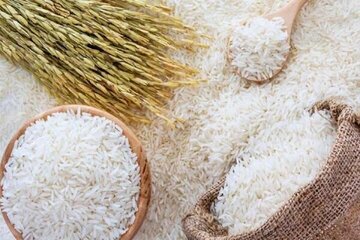 جدیدترین قیمت برنج ایرانی در بازار | برنج هاشمی و طارم عطری کیلویی چند شد؟