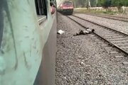 ببینید | نتیجه حرکات نمایشی؛ شکستگی دست و سقوط وحشتناک جوان هندی از قطار
