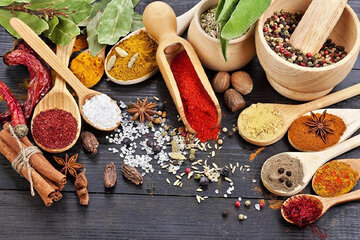 بزرگترین تولیدکنندگان ادویه در ایران چه شرکت‌هایی هستند؟