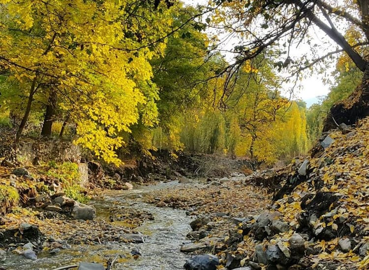 تجربه آرامش و آسایش در ییلاق های ایران با اجاره ویلا