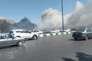 ببینید | آتش سوزی درختان در خیابان کوهسنگی مشهد