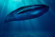 ببینید | کشف سنگین‌ترین موجود تاریخ؛ نهنگ ۱۸۰ تُنی در صحرای پرو