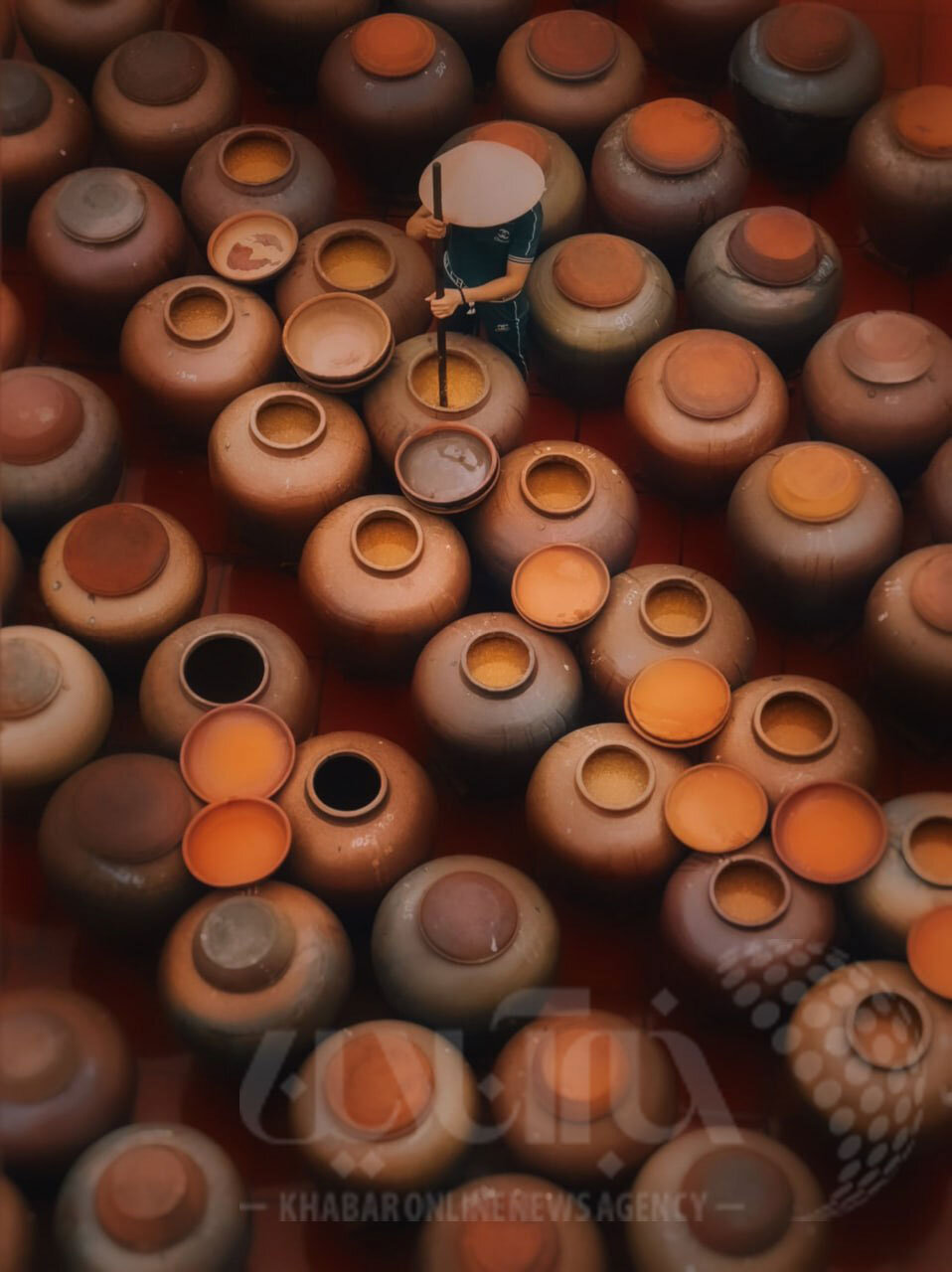 عکس | این تصویر برنده جایزه بهترین عکاسی با آیفون شد