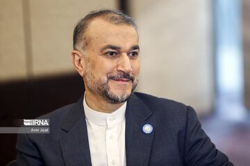FM: Efforts to fully realize rights of Iranian nation continue