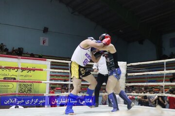 مسابقات قهرمانی بودو کشور