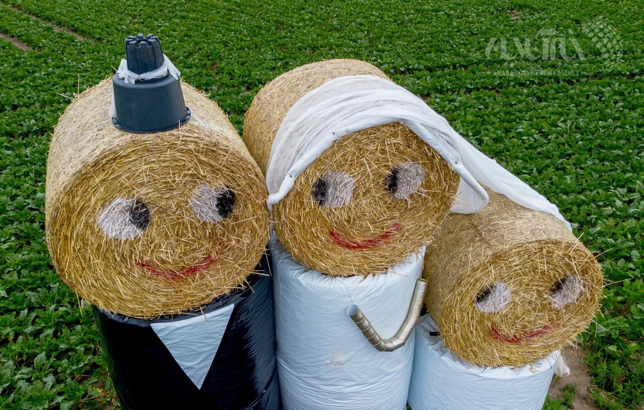 عکس | حرکت جالب اهالی یک روستا در آلمان برای اعلام مراسم عروسی به اهالی!