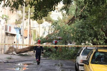 تصاویر | خسارت‌های سنگین ناشی از تندباد امروز در مشهد