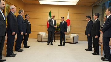 Iran calls for promoting medical ties with Japan