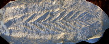 کشف بزرگ و شگفتیساز دو نوجوان دانشآموز 2