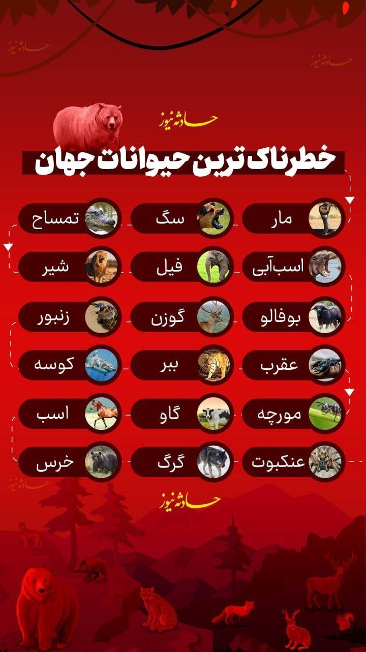 اینفوگرافیک | خطرناکترین حیوان جهان کیست؟