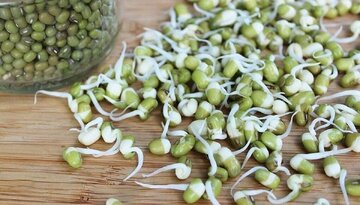 بمب ویتامین و پروتئین را بشناسید بمب ویتامین و پروتئین را بشناسید