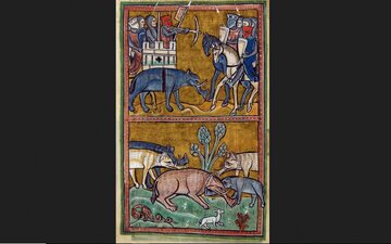 نقاشیهای استثنایی از حیوان مشهوری که هرگز دیده نشده بود!/ عکس 2