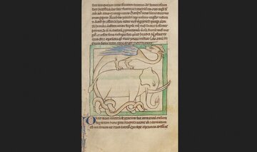 نقاشیهای استثنایی از حیوان مشهوری که هرگز دیده نشده بود!/ عکس 4