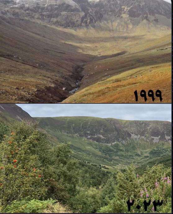 تصویر احیای یک منطقه بیابانی شده در انگلیس واکنشبرانگیز شد