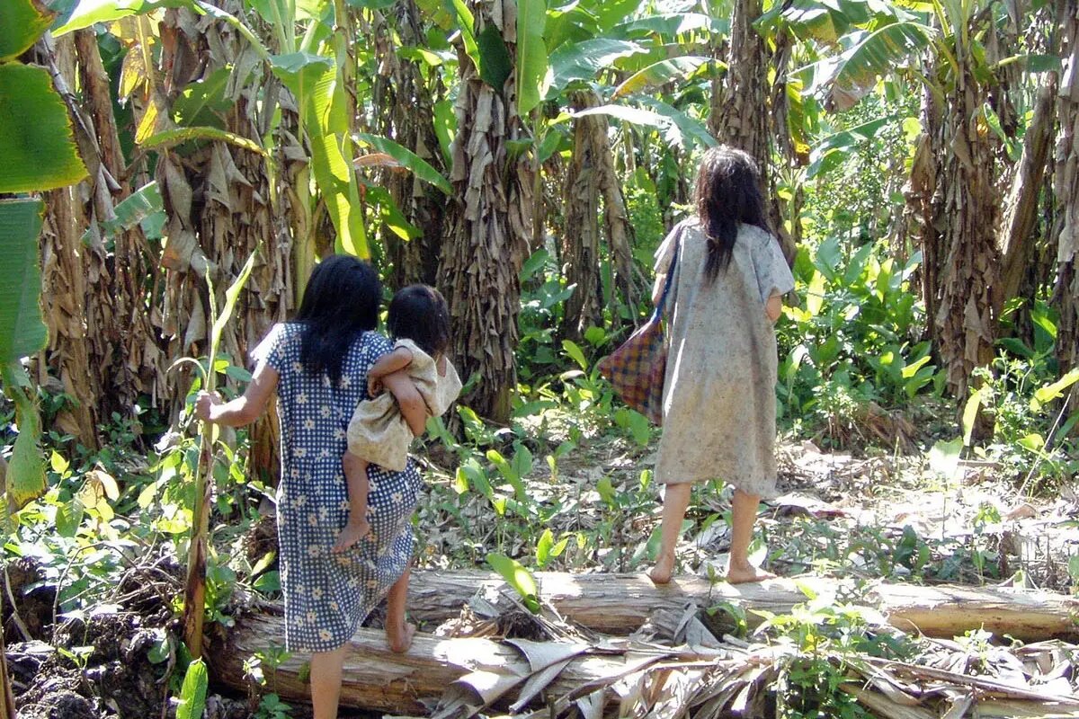 چرا اجداد مان بیشتر فرزند دار می شدند؟ پای این ژن در میان است؟