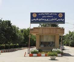 کاشت ماری جوانا در زمینهای دانشکده کشاورزی رازی