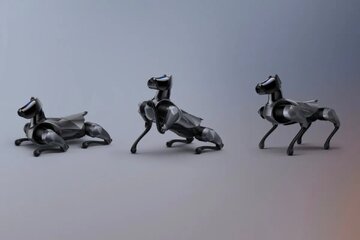 سگ شیائومی، نسخه رباتیک سگ دوبرمن/ عکس
