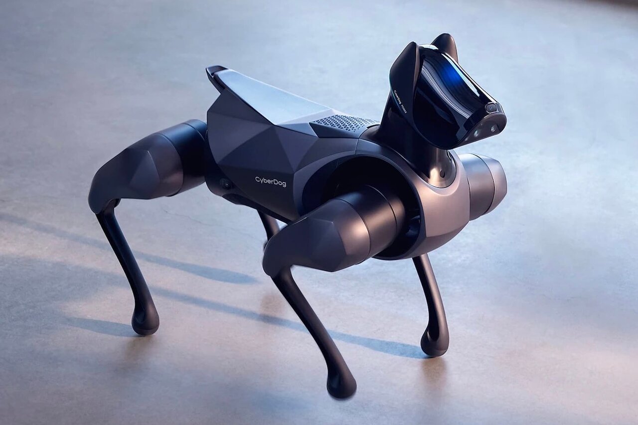سگ شیائومی، نسخه رباتیک سگ دوبرمن/ عکس