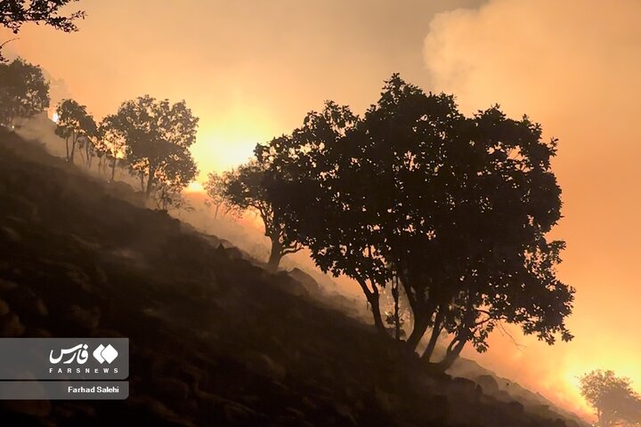 آتش سوزی در منطقه «سردره» پاوه