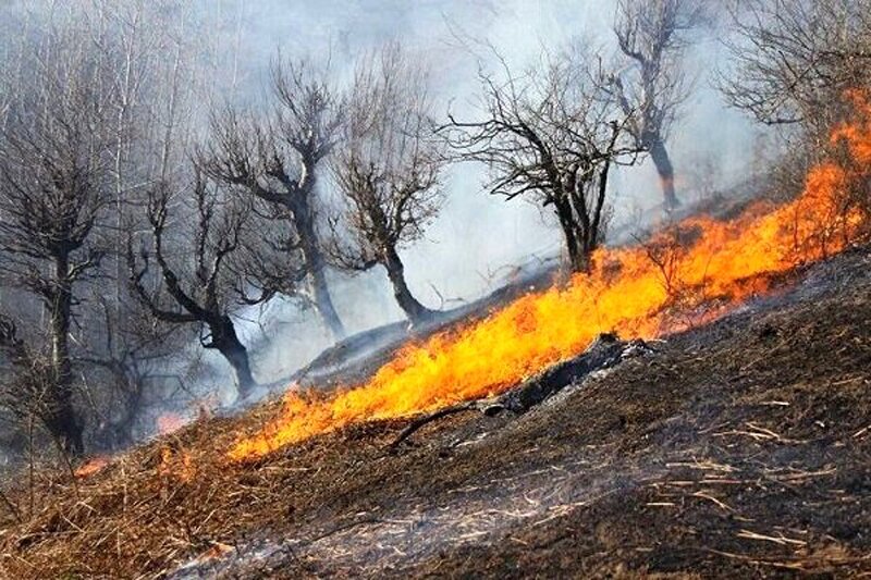 ببینید | میزان خسارات وارد شده به مراتع پاوه در پی آتش سوزی