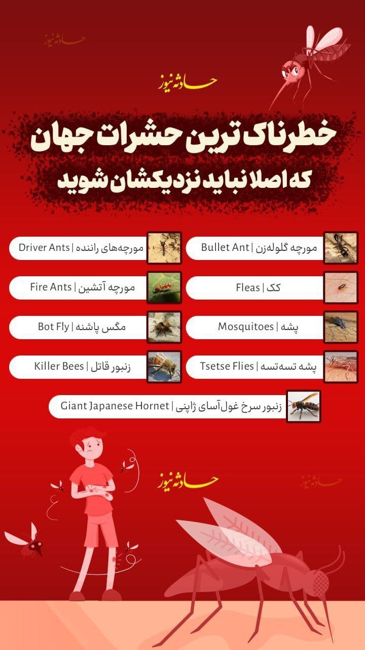 اینفوگرافیک | خطرناکترین حشرات جهان که اصلا نباید نزدیکشان شوید کدامند؟
