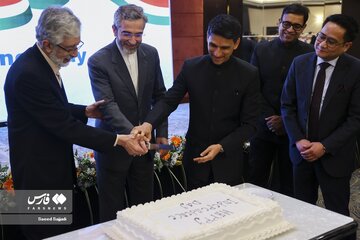 تصویری جالب از حدادعادل و علی باقری در حال بریدن کیک