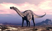 فسیل ۱۶۷ میلیون ساله دایناسور هندی شگفتی‌ساز شد/ قدیمی‌ترین در نوع خود