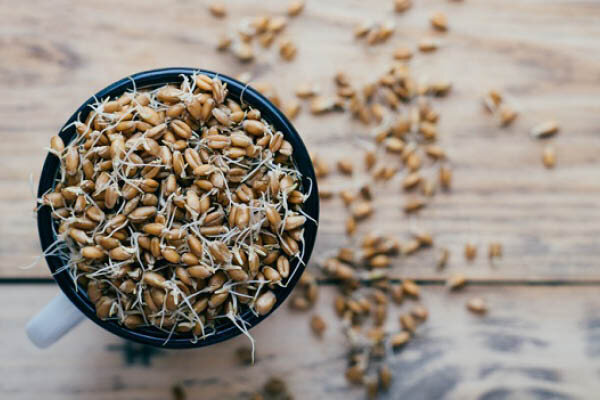 این ۶ ماده غذایی حساسیتزا هستند