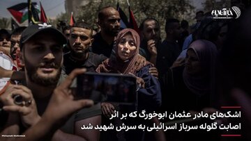دور دنیا با چند عکس
